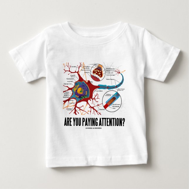 Zahlen Sie Aufmerksamkeit? (Neuron-Synapse-Spaß) Baby T-shirt (Vorderseite)