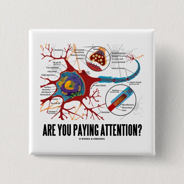 Zahlen Sie Aufmerksamkeit? (Neuron-Synapse-Spaß) Button (Vorderseite)