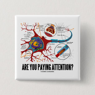 Zahlen Sie Aufmerksamkeit? (Neuron-Synapse-Spaß) Button