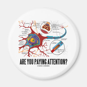 Zahlen Sie Aufmerksamkeit? (Neuron-Synapse-Spaß) Magnet