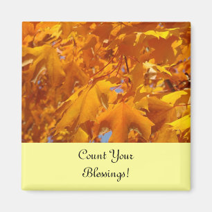 Zählen Sie Ihre Segnungen! Magnete für Kühlschrank