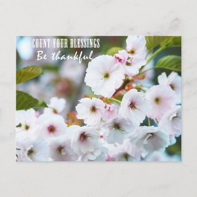 Zählen Sie Ihre Segnungen Postkarte (Vorderseite)