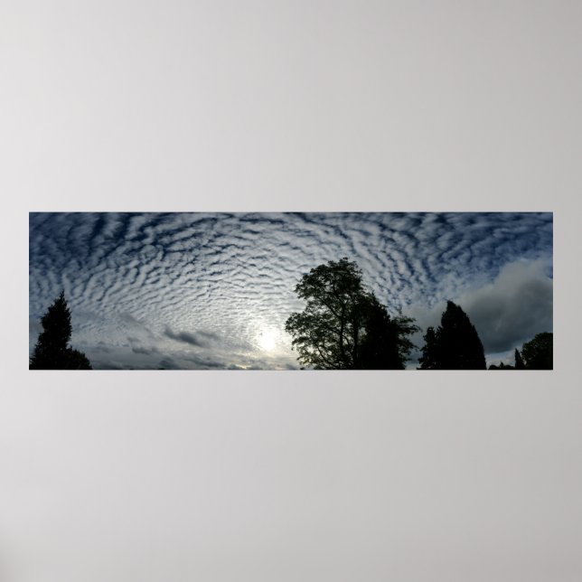 Zählschaf Poster (Vorne)