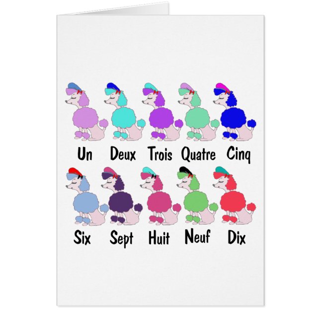 Zählung des französischen Pudels (Vorne)