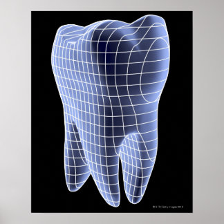 Zahn, Computergrafik eines molaren Zahnes Poster