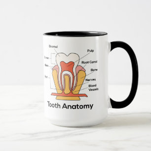 Zahndiagramm Tasse