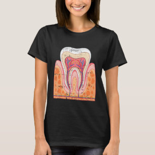 Zähnentenhygiene Zahnarzthyphän Den T-Shirt