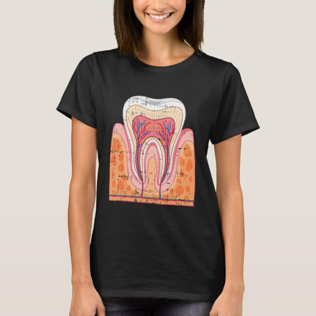 Zähnentenhygiene Zahnarzthyphän Den T-Shirt (Vorderseite)