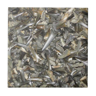 Zahnmuster für Fossilien Fliese