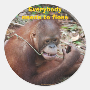 Zahnpflegesticker Runder Aufkleber