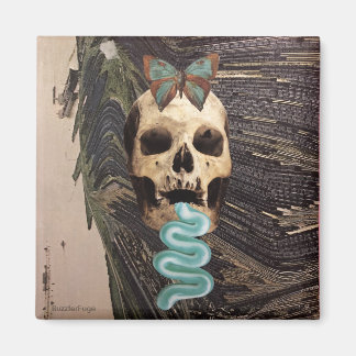 Zahnspülung - magnet