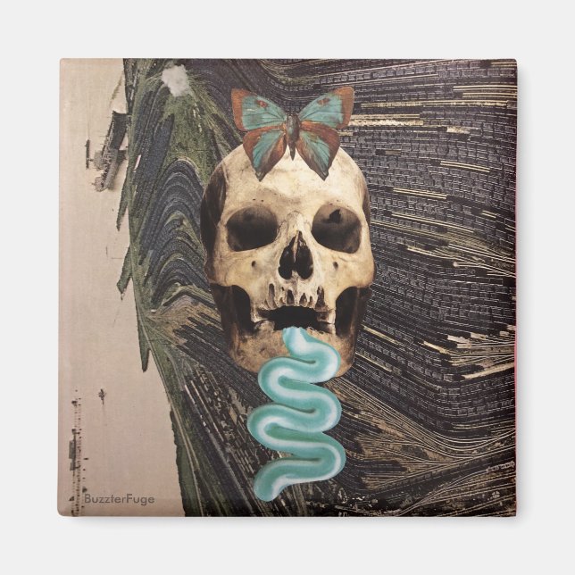 Zahnspülung - magnet (Vorne)