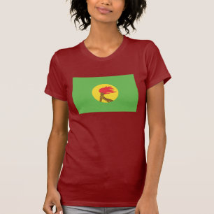 Zaire-Flagge T-Shirt