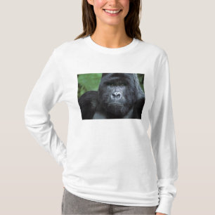 Zaire, Virungas Nationalpark. Porträt von T-Shirt