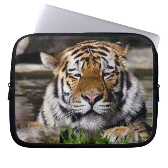 Zambar Tiger Laptop Sleeve (Vorderseite)