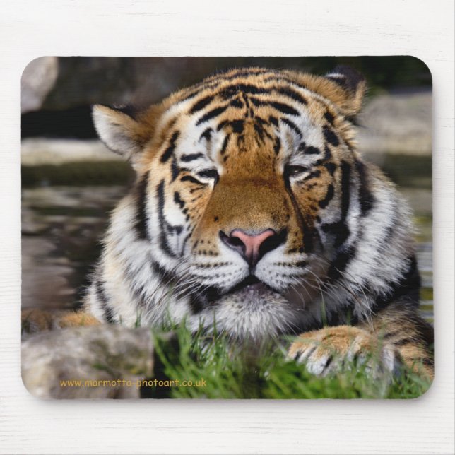 Zambar Tiger-Mauspad Mousepad (Vorne)
