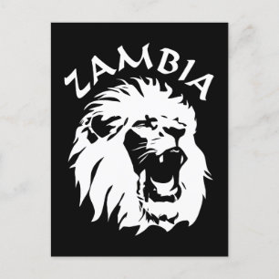 Zambia Lion Postkarte
