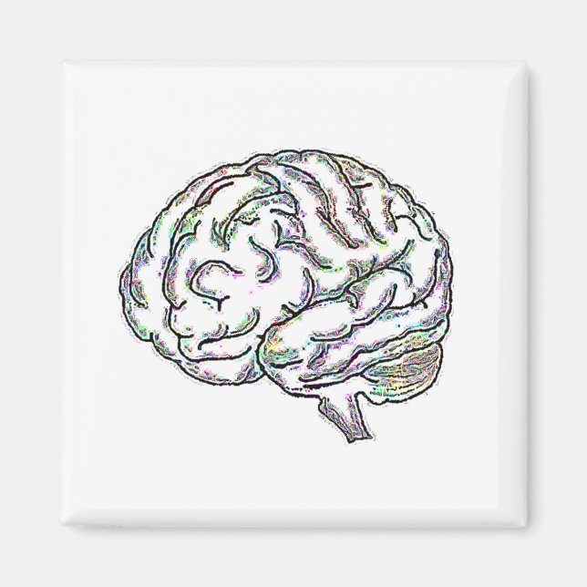 Zany Brainy Magnet (Vorne)