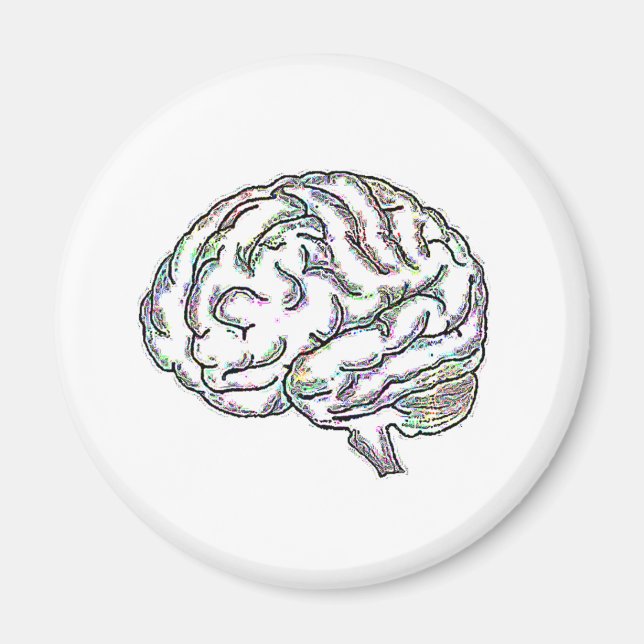 Zany Brainy Magnet (Vorne)