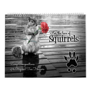 Zany Squirrel Lover Wildlife 12 Monate Kalender