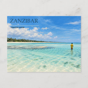 Zanzibar Türkislagune Palmenbestandene Küste Postkarte