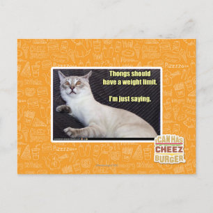 Zapfen sollten eine Gewichtsgrenze haben Postkarte