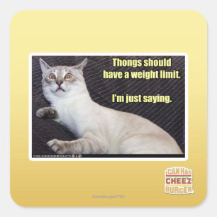 Zapfen sollten eine Gewichtsgrenze haben Quadratischer Aufkleber