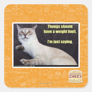 Zapfen sollten eine Gewichtsgrenze haben Quadratischer Aufkleber