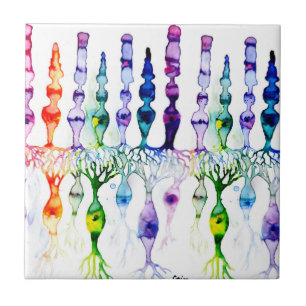 Zapfenzellen Stäbchenzellen und bipolare Neurone d Fliese