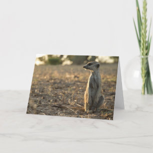 Zaphod 12. Geburtstagskarte 1 Karte