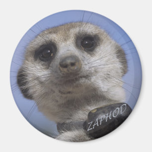 Zaphod - König des Kalahari-Magneten Magnet