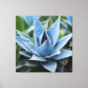 Zarte Agave Botanische Fotorealistische Digitalkun Leinwanddruck