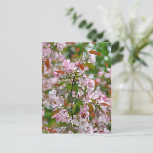 Zarte Apfelbaumzweig mit Blüten Postkarte (Stehend Vorderseite)