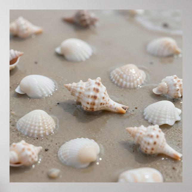 Zarte Muscheln Strand Serenität Poster (Vorne)
