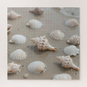 Zarte Muscheln Strand Serenität Puzzle