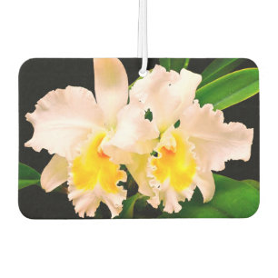 Zarte Orchideen Autolufterfrischer