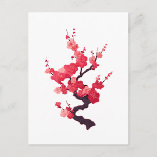 Zarte rosa japanische Kirschbaumzweig Postkarte