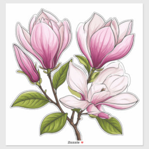 Zarte rosa Magnolienblüten auf einem Zweig Aufkleber
