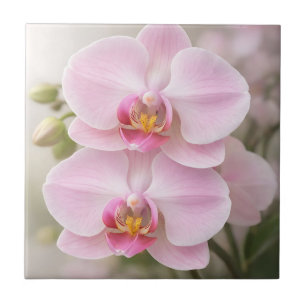 Zarte Rosa Phalaenopsis Orchidee Fliese