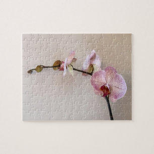 Zarte rosa Phalaenopsis-Orchideen Puzzle