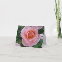 Zarte rosa Rosen romantische gefaltete Notizkarten Dankeskarte