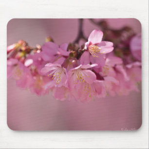 Zarte rosa Sakura-Kirschblüten Bouquet Mousepad