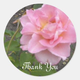 Zarte Rose Danke Runder Aufkleber