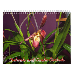 Zarte und exotische Orchideen Kalender