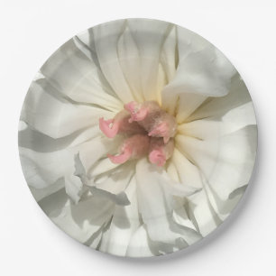 Zarte weiße und rosa Pfingstrose Pappteller