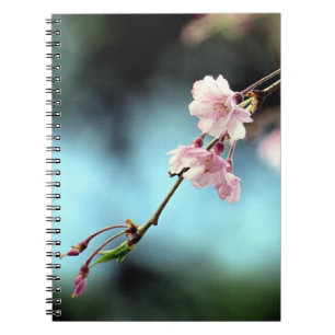 Zartes Rosa Blütenblau - Notizbuch Notizblock