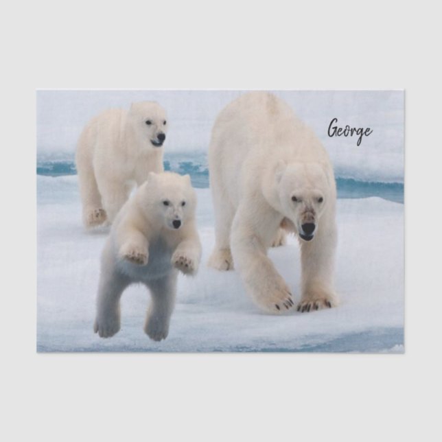 Zartpapier Polar Bear Seidenpapier (Vorderseite)