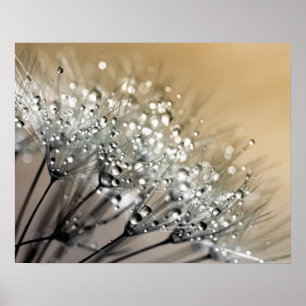 Zauber Dandelion Khaki Hintergrund Poster