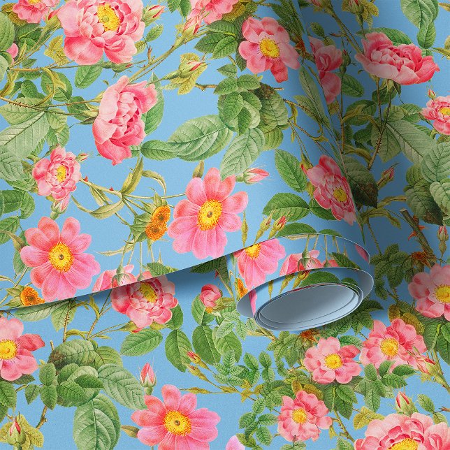 Zaubergarten-Rose auf himmelblauen Hintergrund Tapete (Von Creator hochgeladen)