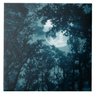 Zauberhafter Nachtwald bei Vollmond Fliese
